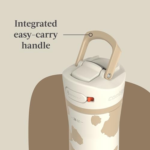 24oz Stainless Steel Water Bottle with Straw & Handle Dual Insulated (Pack of 2) T548408