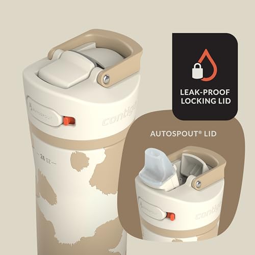24oz Stainless Steel Water Bottle with Straw & Handle Dual Insulated (Pack of 2) T548408