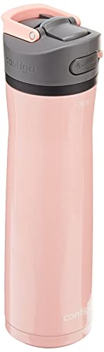 24oz Stainless Steel Water Bottle with Straw & Handle Dual Insulated (Pack of 2) T548408