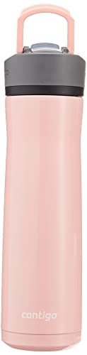 24oz Stainless Steel Water Bottle with Straw & Handle Dual Insulated (Pack of 2) T548408