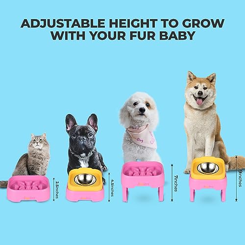 2-in-1 Elevated Slow Feeder Dog Bowls with Stand Stainless-Steel W3574