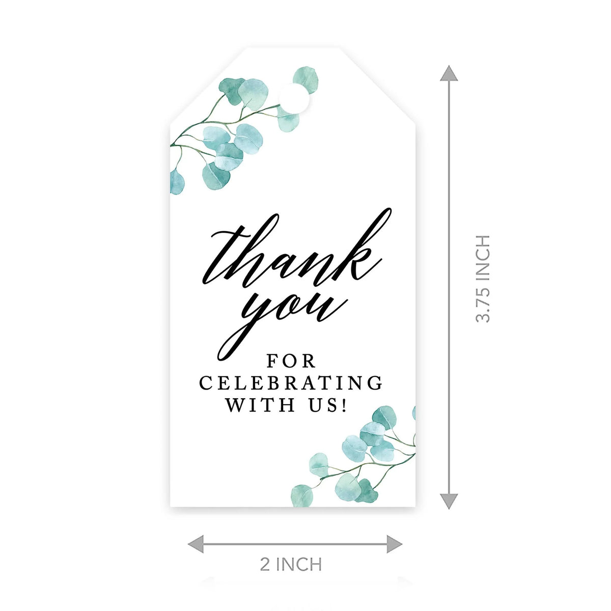 100-Pk Silver Dollar Eucalyptus Cardstock Gift Tags N44434
