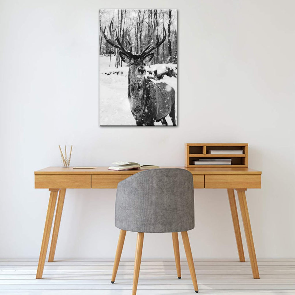 Black and White Deer in Winter Forest Canvas Print Wall Art C5405