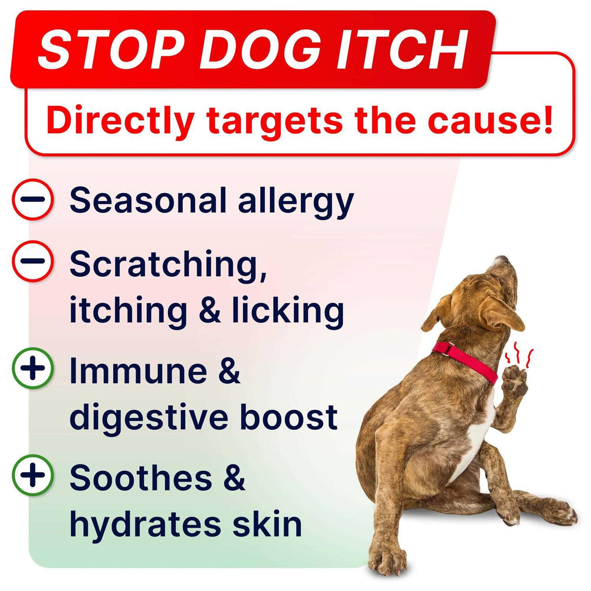 Allergy Relief F364385