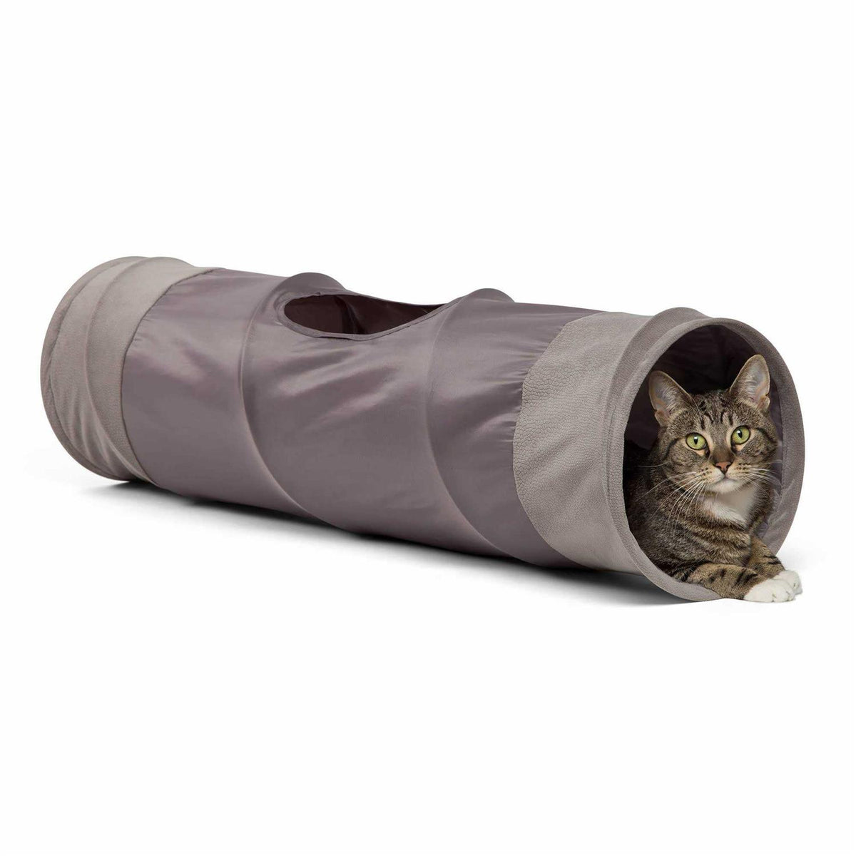 Cat Tunnel Y276563