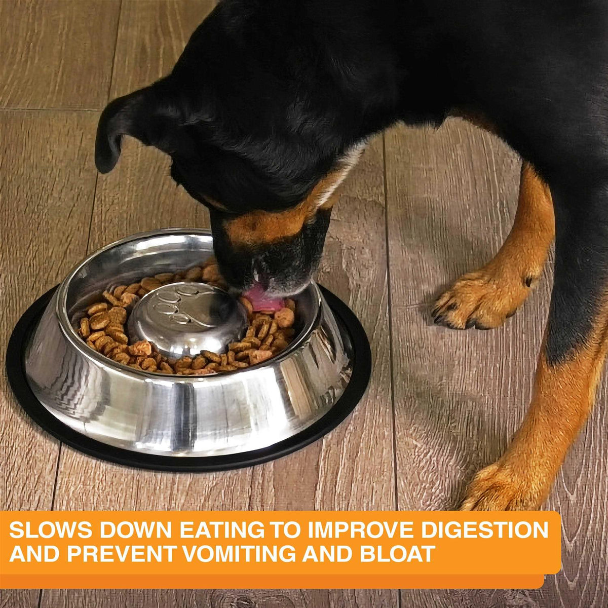 Stainless Steel Slow Feed Bowl Non-Tip & Non-Skid B800