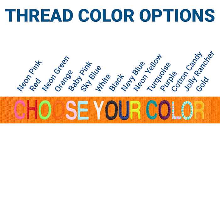 Nylon Personalized Dog Collar P11163