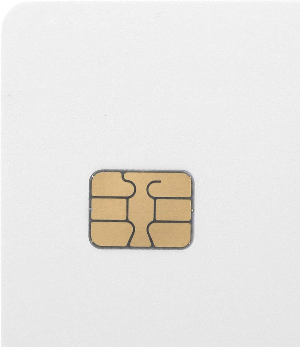 10 Pack Chip Cards with Mag Stripe D747