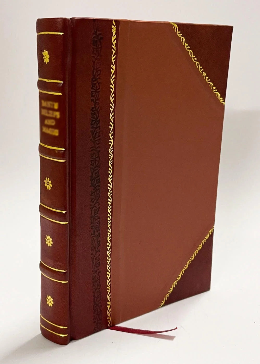 Different Girls Leather Bound C36831