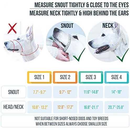 Dog Head Halter with Safety Strap B699405
