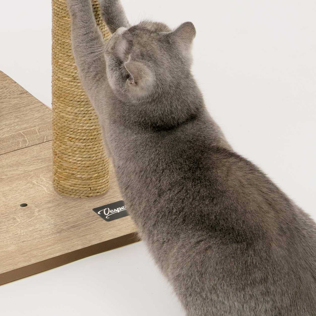 Cat Tree D82855