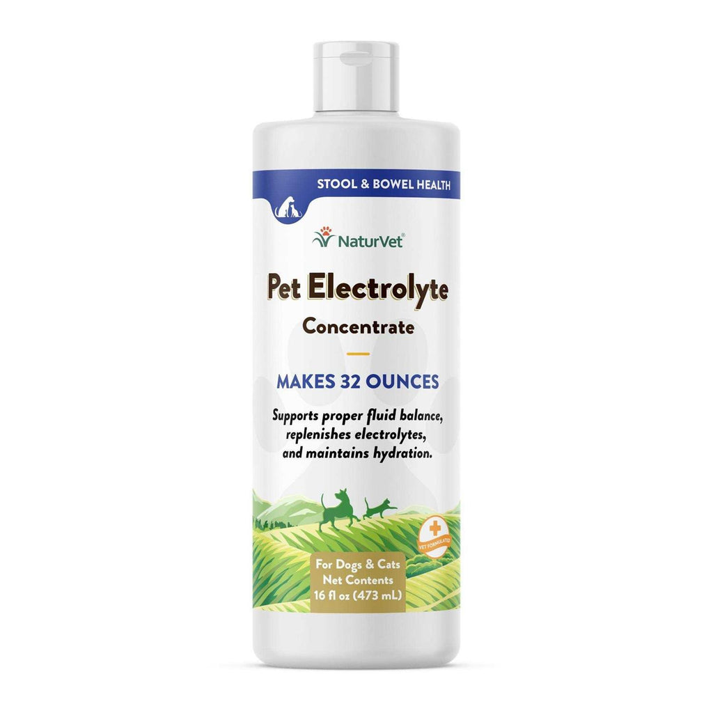 Pet Electrolyte Concentrate 16 oz S56884