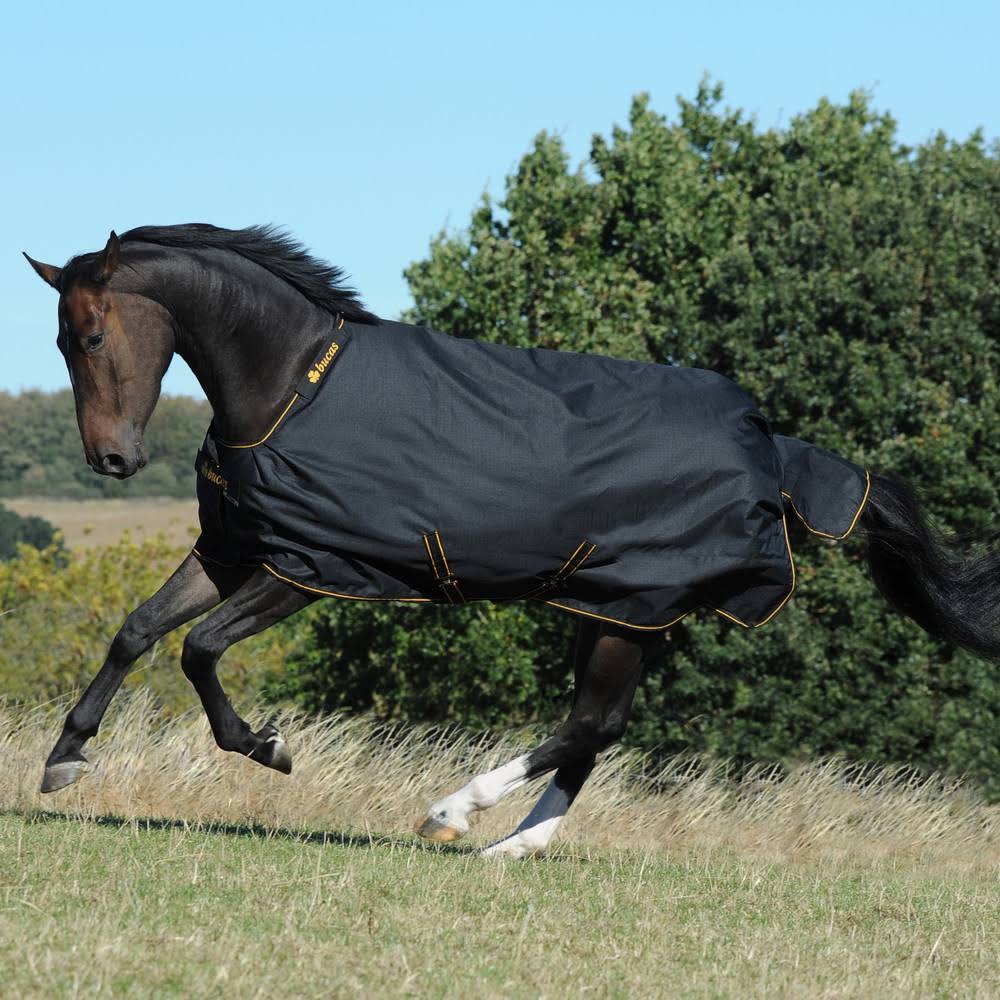 Black Irish Turnout Extra V13942