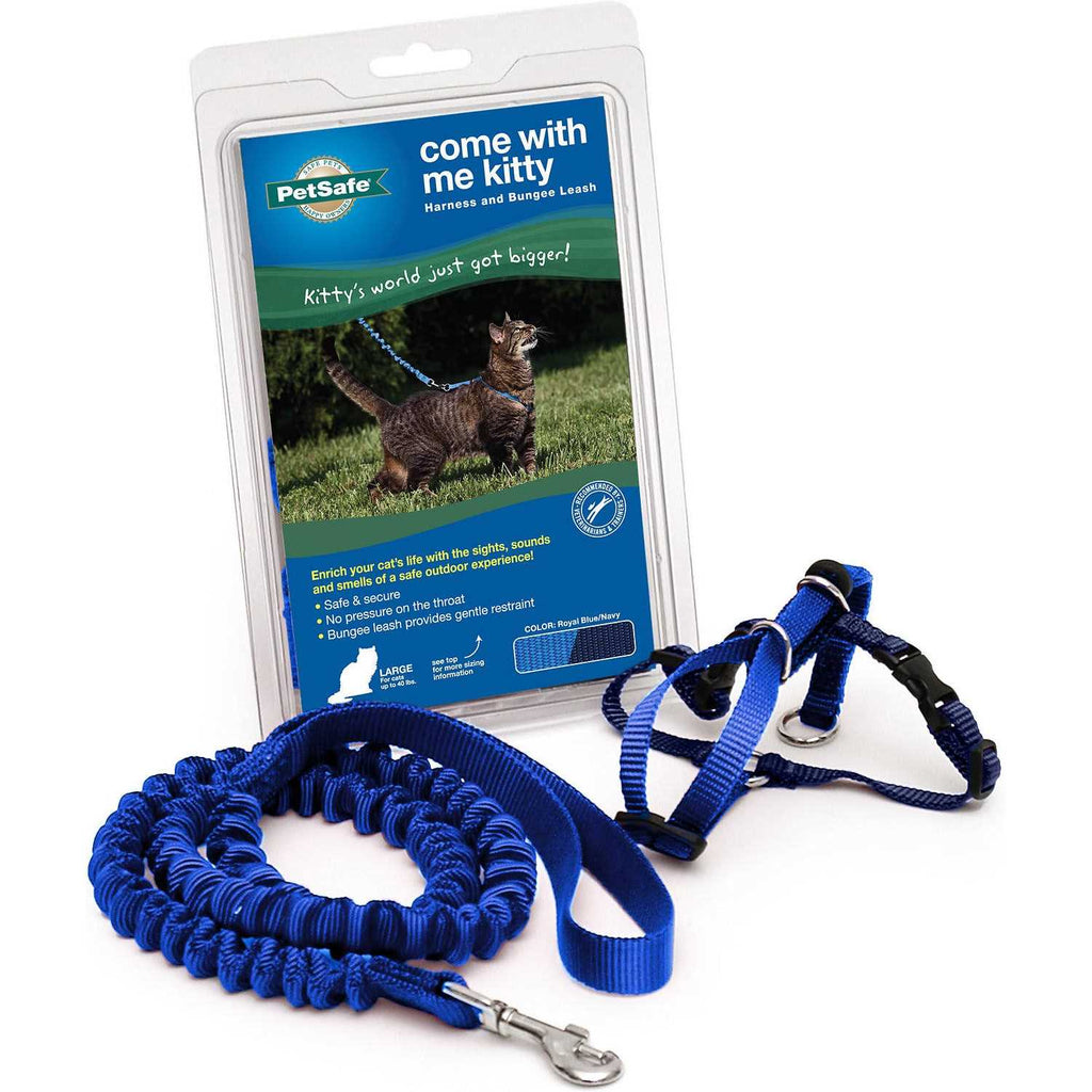 Come with Me Kitty Harness Bungee Leash N966092