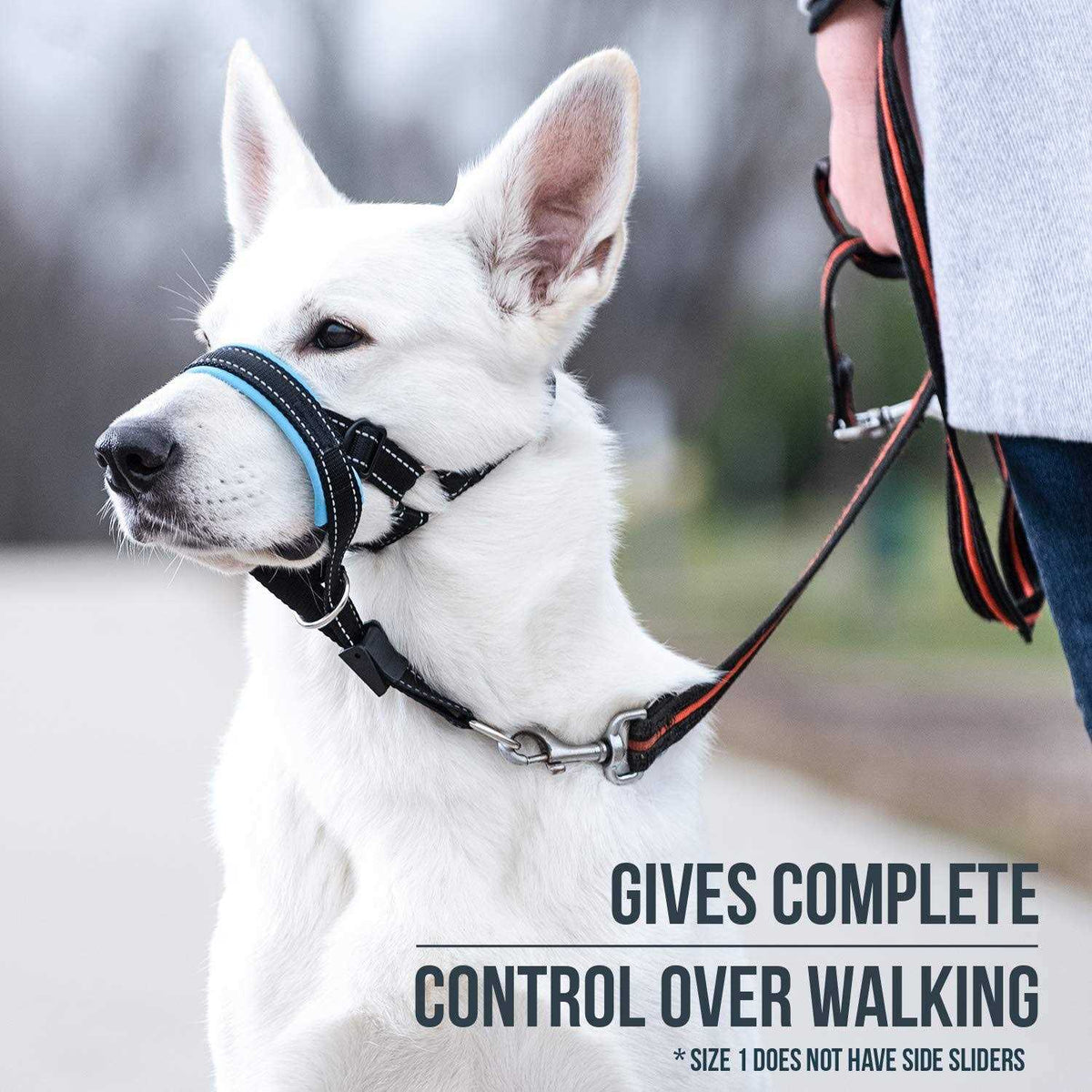 Dog Head Halter with Safety Strap B699405
