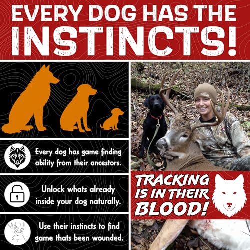 Dog Training Kit O7362