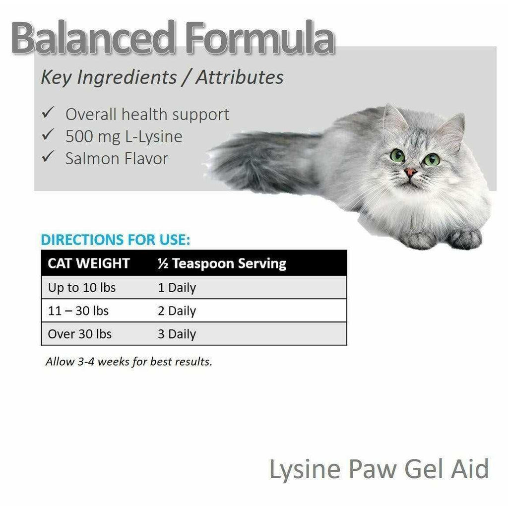 Lysine Paw Gel for Cats Y97268