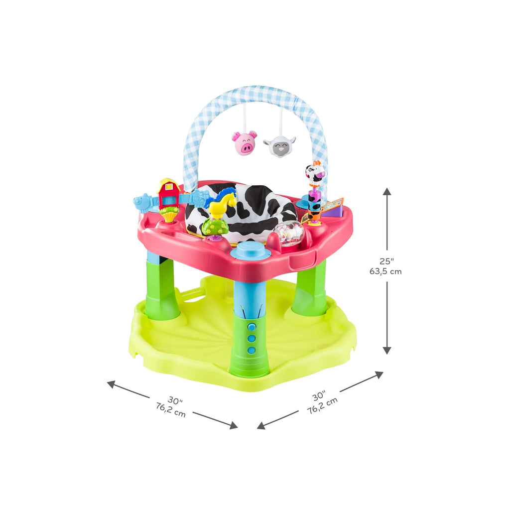 Bouncing Activity Saucer F973999