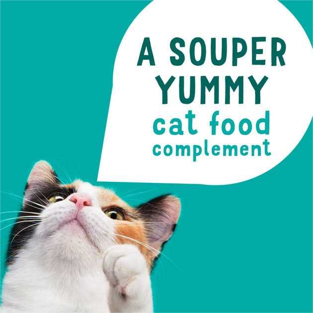 Grain Free Senior Wet Cat Food Complement Skipjack Tuna I2107