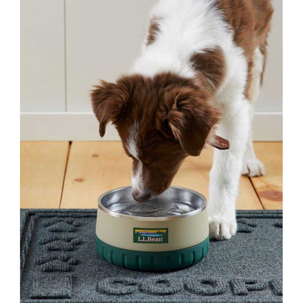 Insulated Dog Bowl J810873