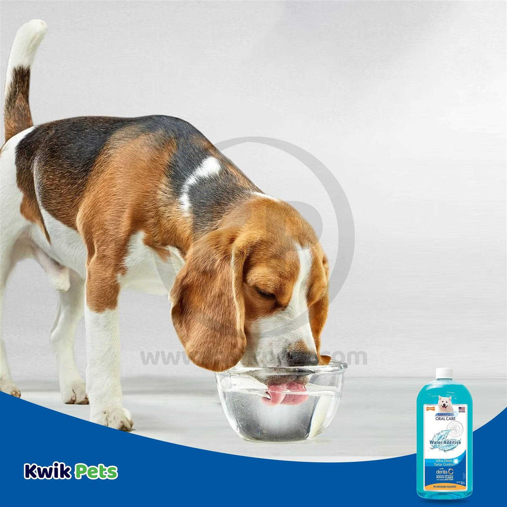 Liquid Tartar Remover Water Additive for Dogs R2479