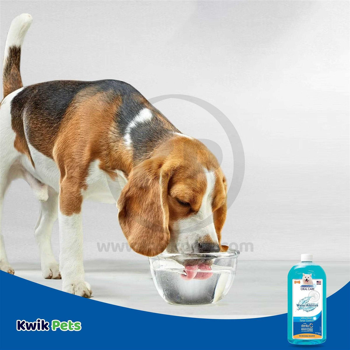 Liquid Tartar Remover Water Additive for Dogs R2479