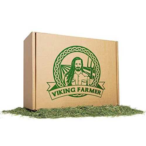 Alfalfa Hay for Rabbits & Small Pets C547230