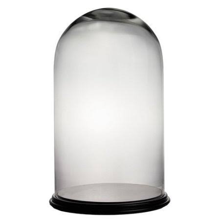 Dome Bell Jar Glass Terrarium H3367
