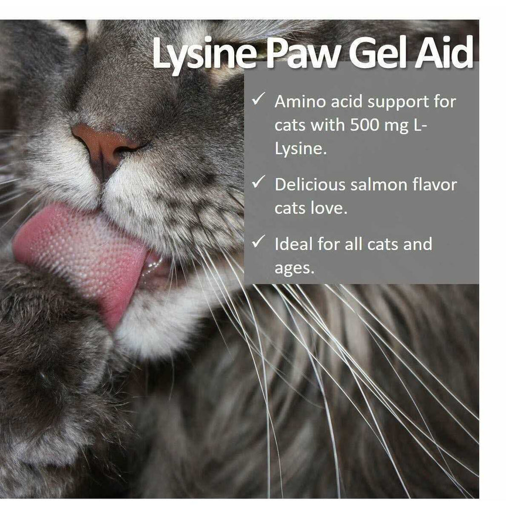 Lysine Paw Gel for Cats Y97268
