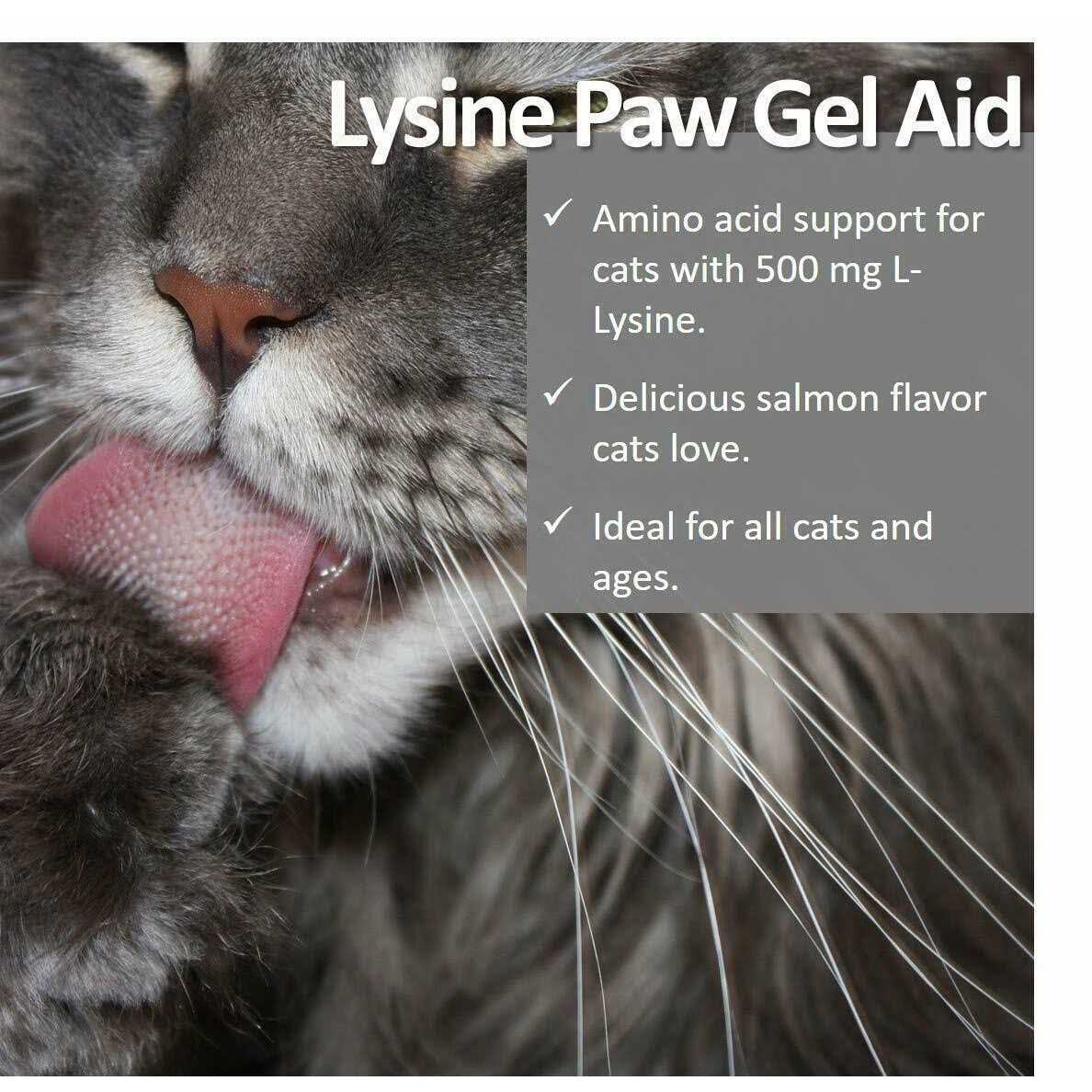 Lysine Paw Gel for Cats Y97268