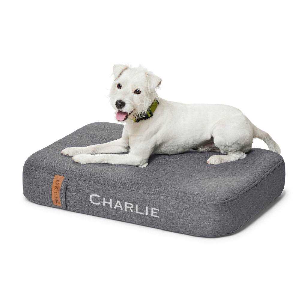 Dog Bed W643362