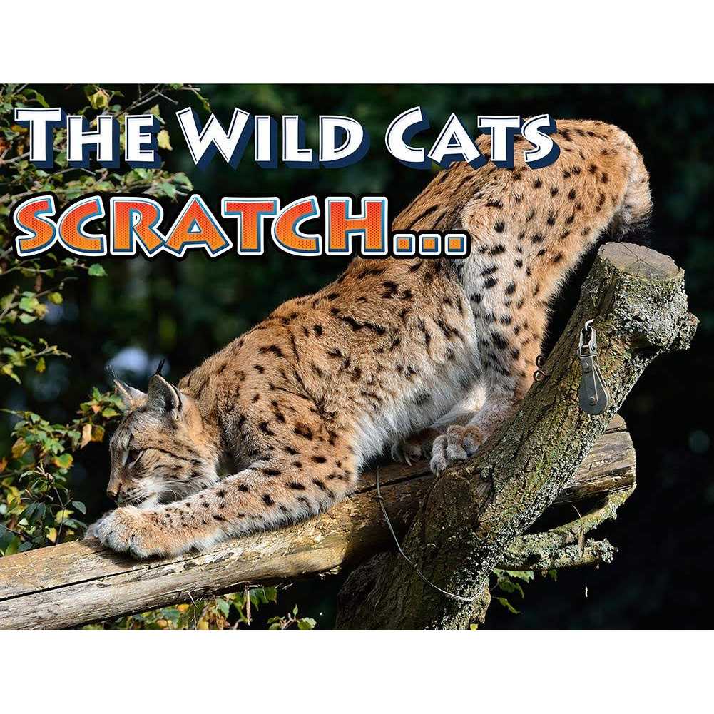 Cat Scratch Deterrent Spray Z85662