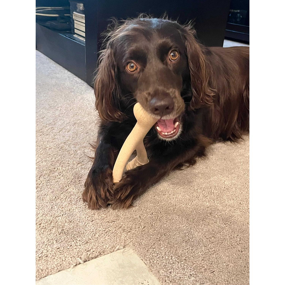 Tough Dog Chew Beef G62475
