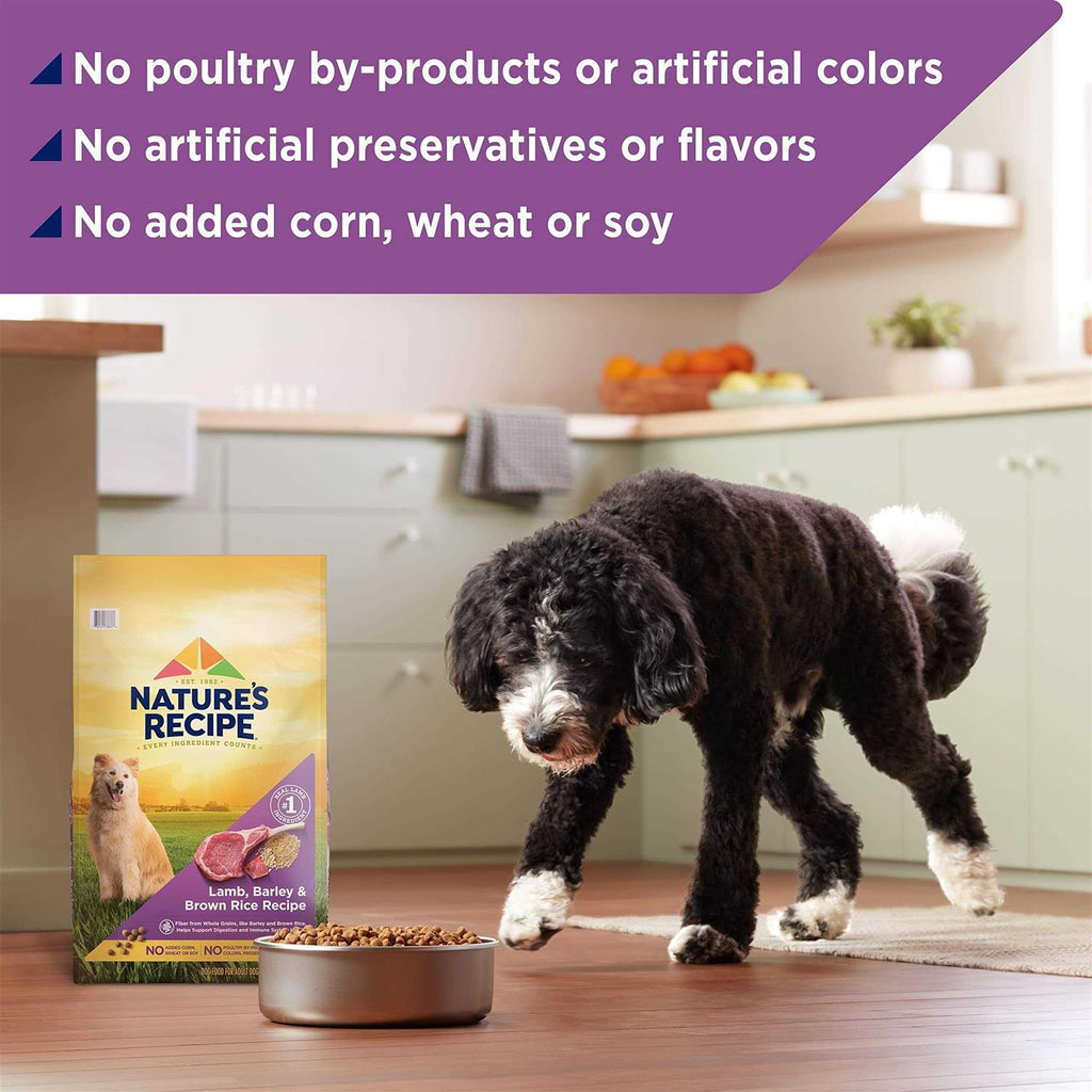 Adult Dry Dog Food Q74834