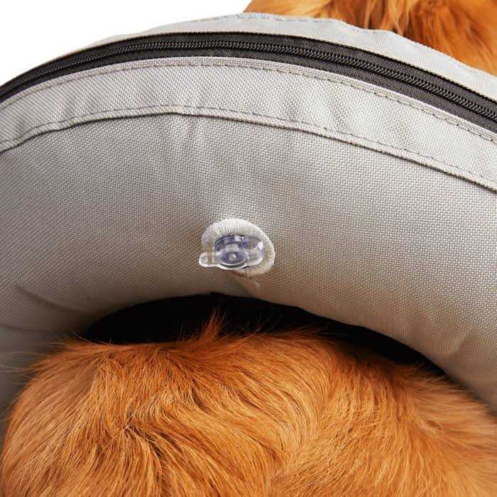 Inflatable Dog Collar W362