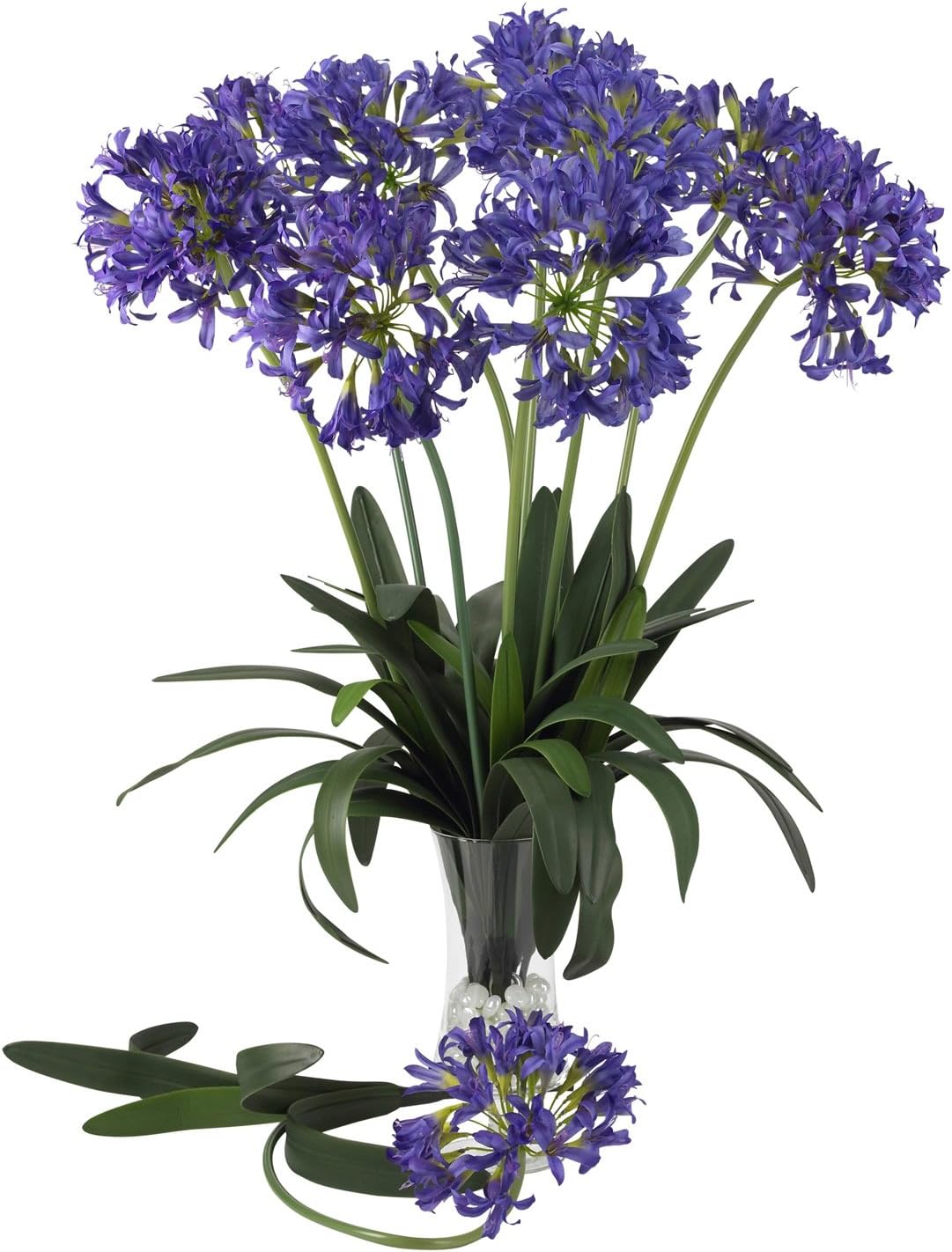 29 African Lily Stem (Set of 12) Yellow K157