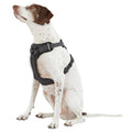 Ultra-Reflective Dog Harness N296