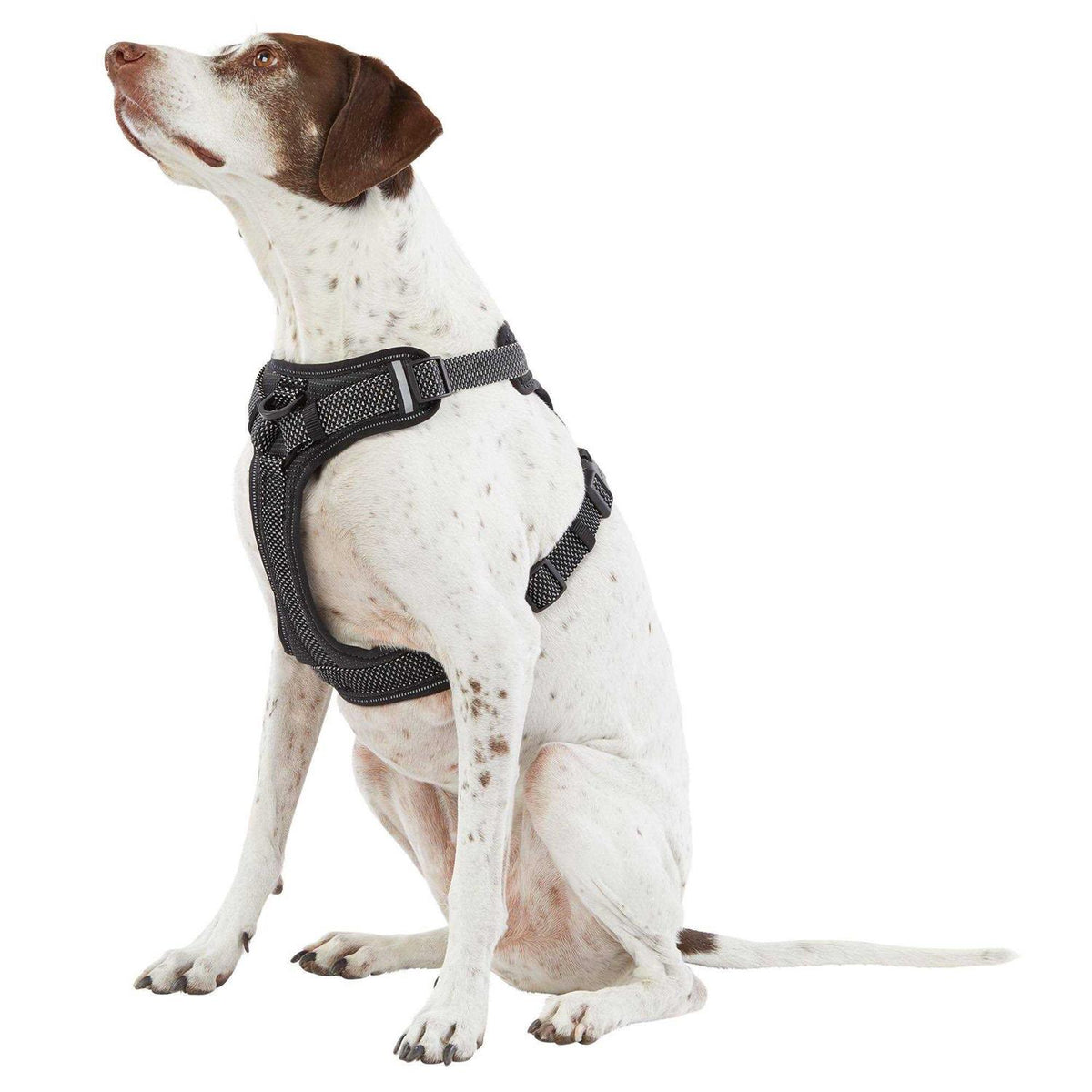 Ultra-Reflective Dog Harness N296