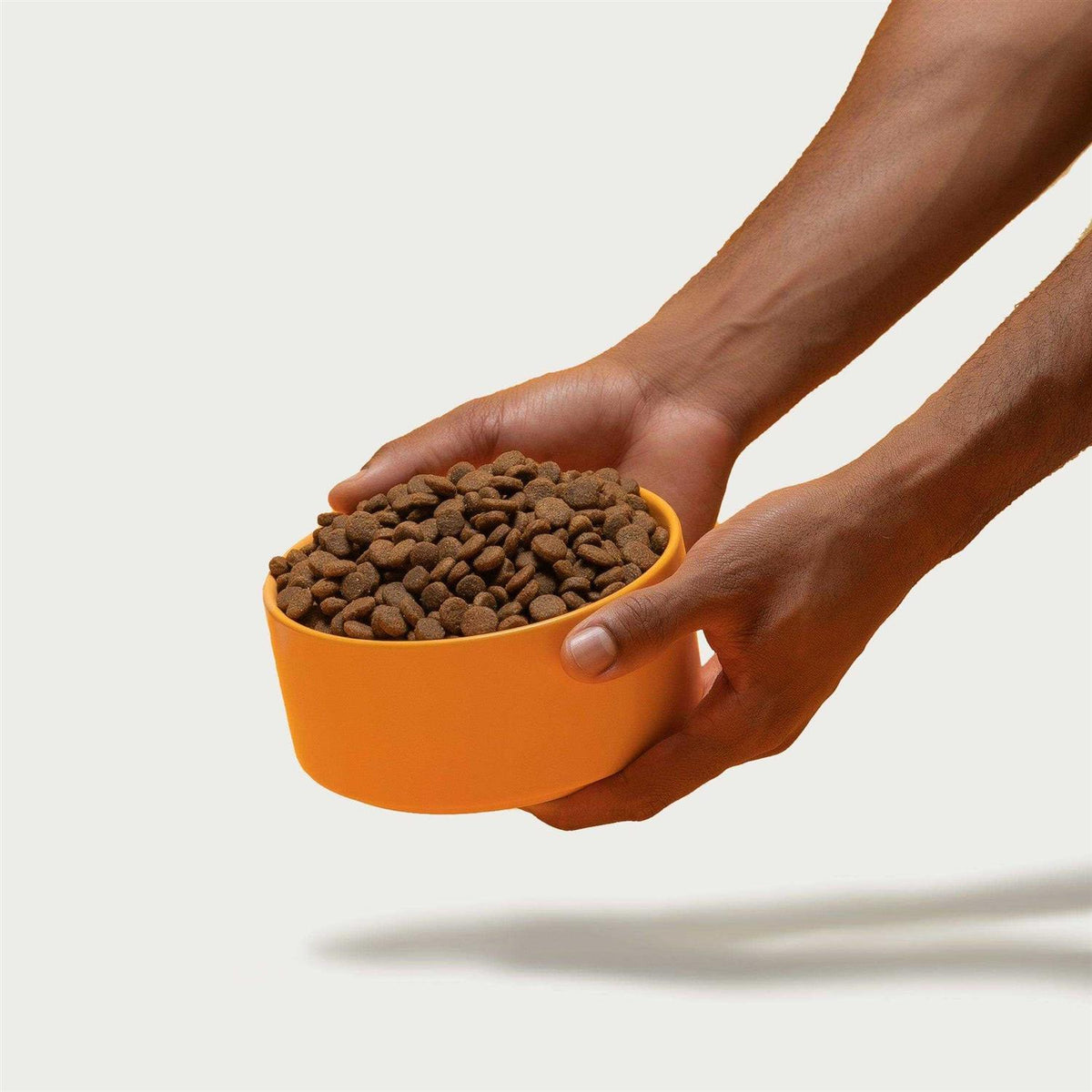 Brown Rice & Sweet Potato Dry Dog Food A1076