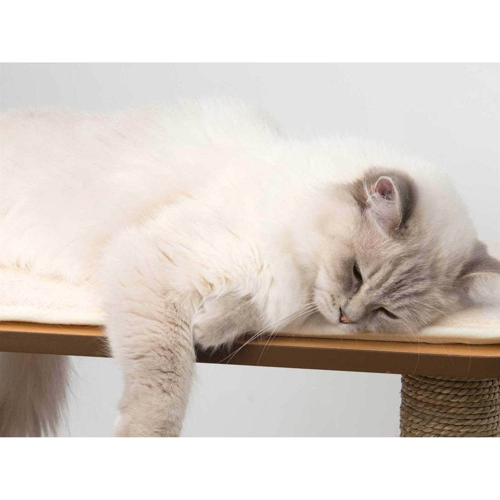 Cat Tree D82855