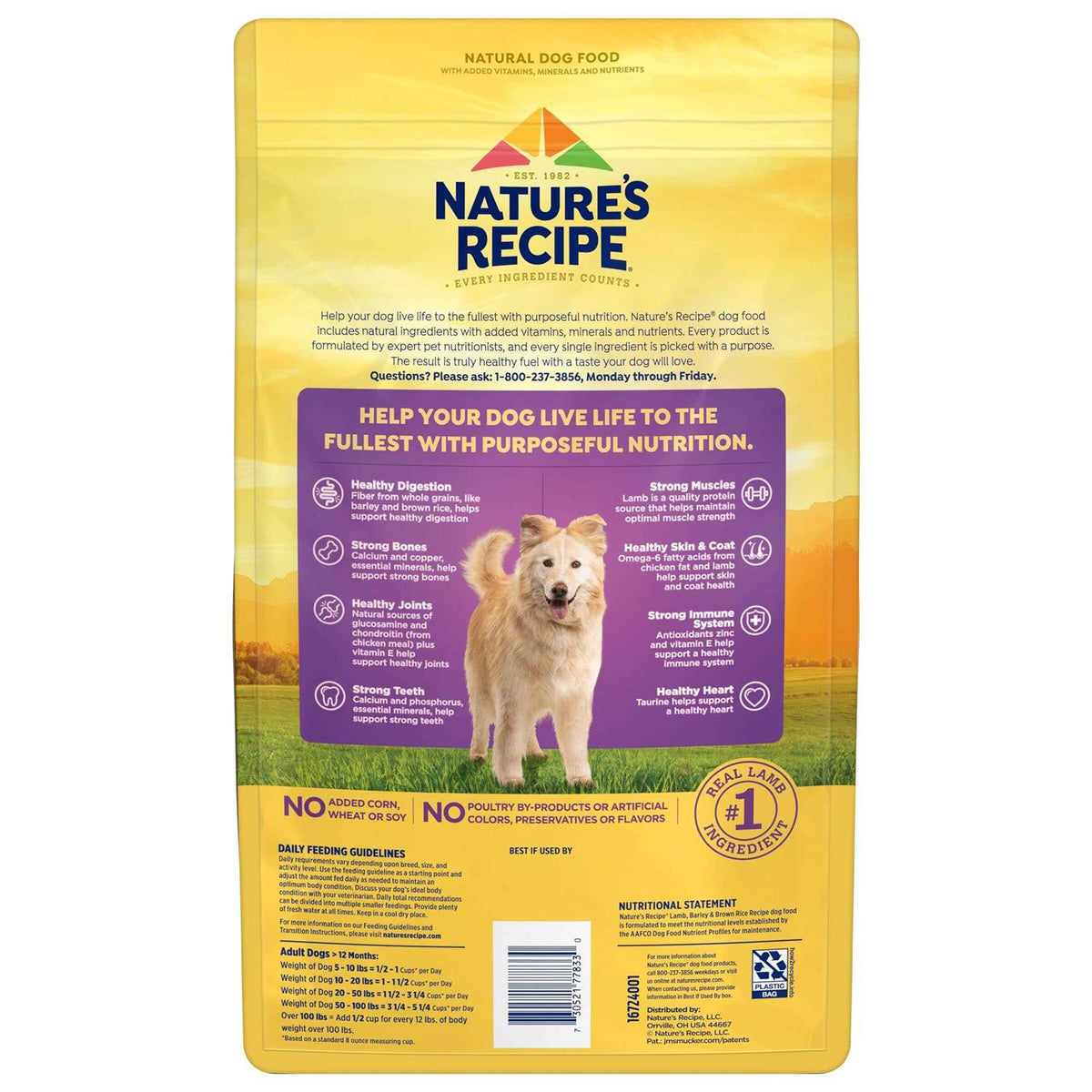 Adult Dry Dog Food Q74834
