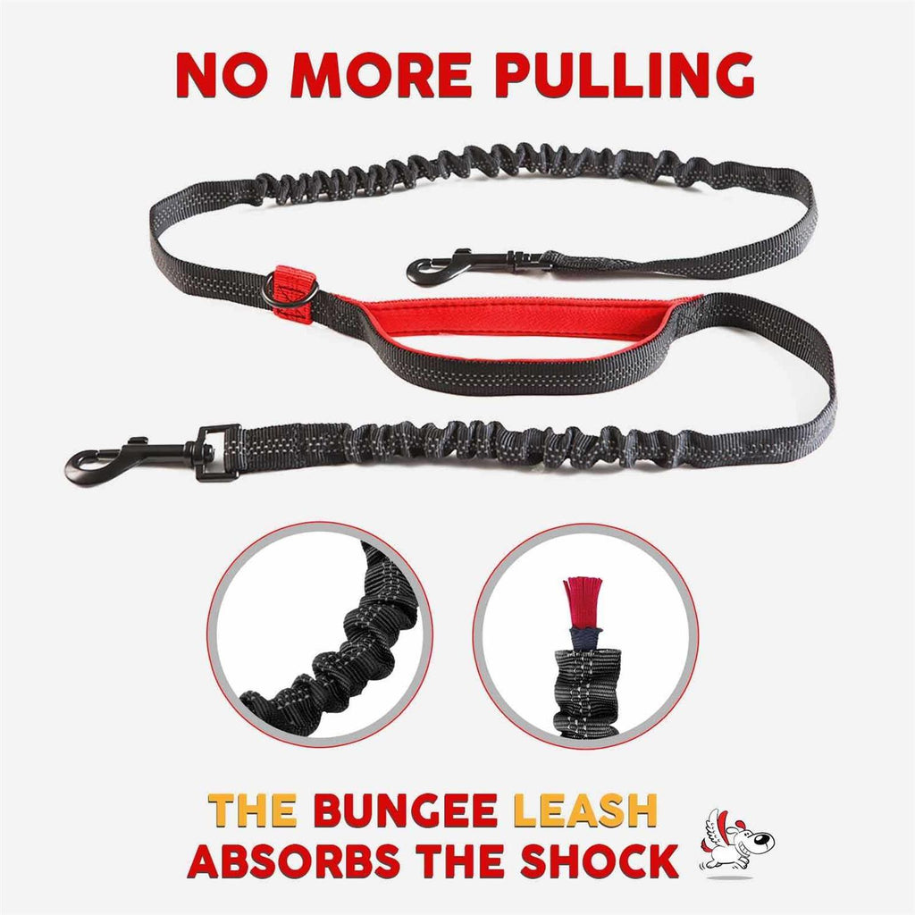 Double Dog Leash for Large Dogs D847