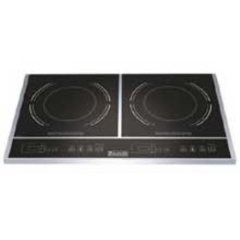 Double Induction Cooker R8494